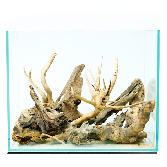 MYSTERY DRIFTWOOD BOX